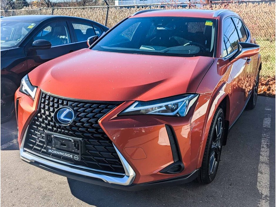 2022 Lexus UX 250h Base-2