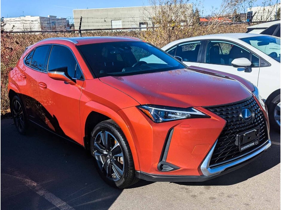 2022 Lexus UX 250h Base-3