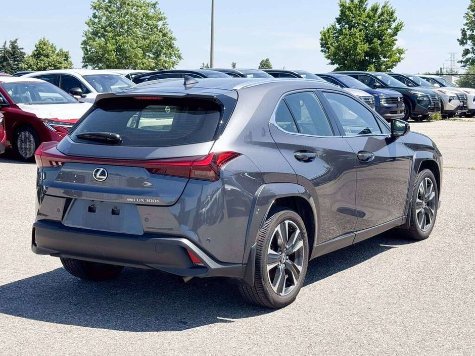 2025 Lexus UX 300h-6