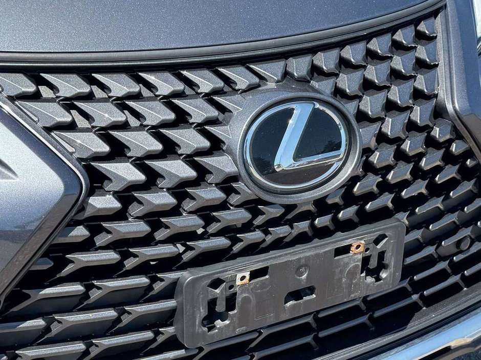 2025 Lexus UX 300h-9