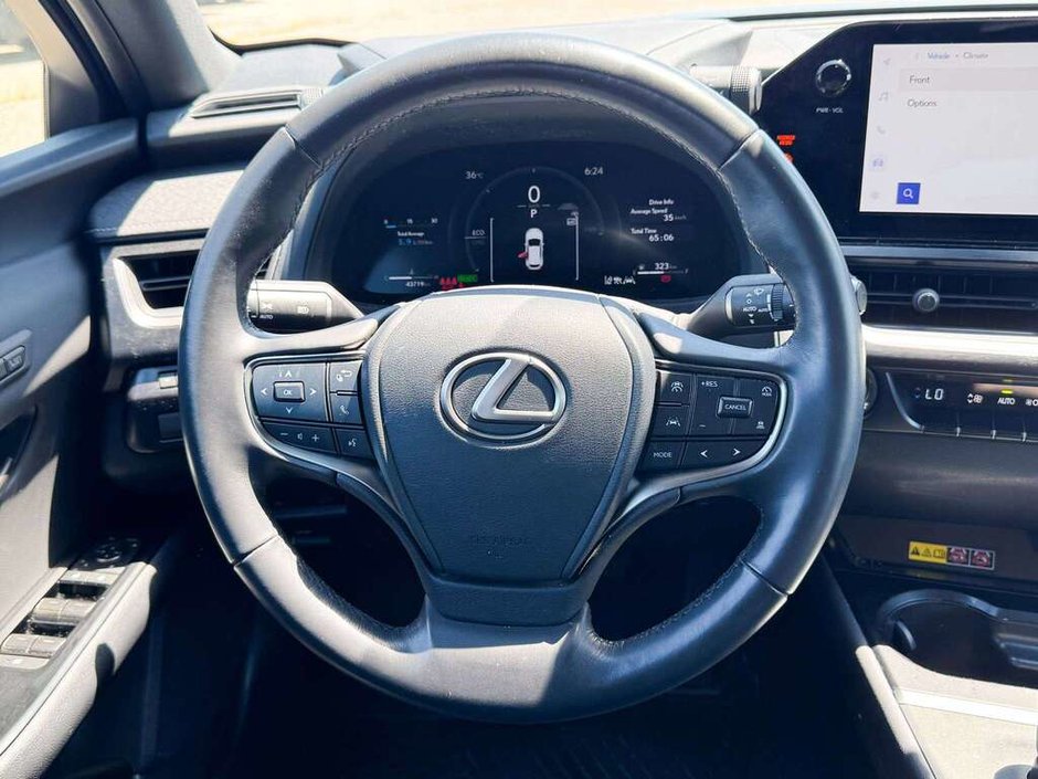 2025 Lexus UX 300h-17