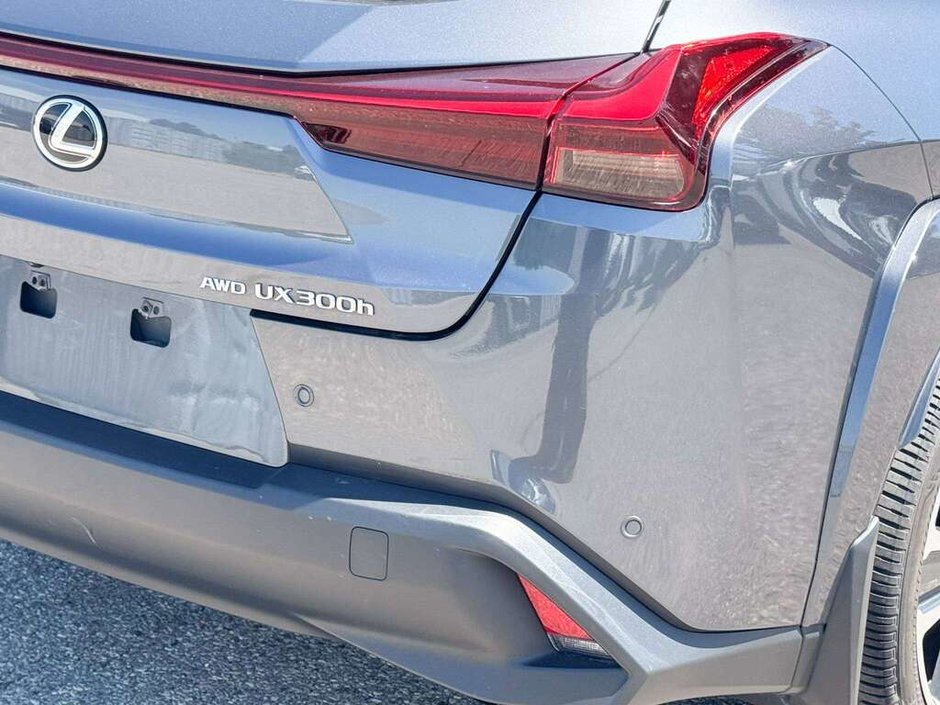 2025 Lexus UX 300h-11
