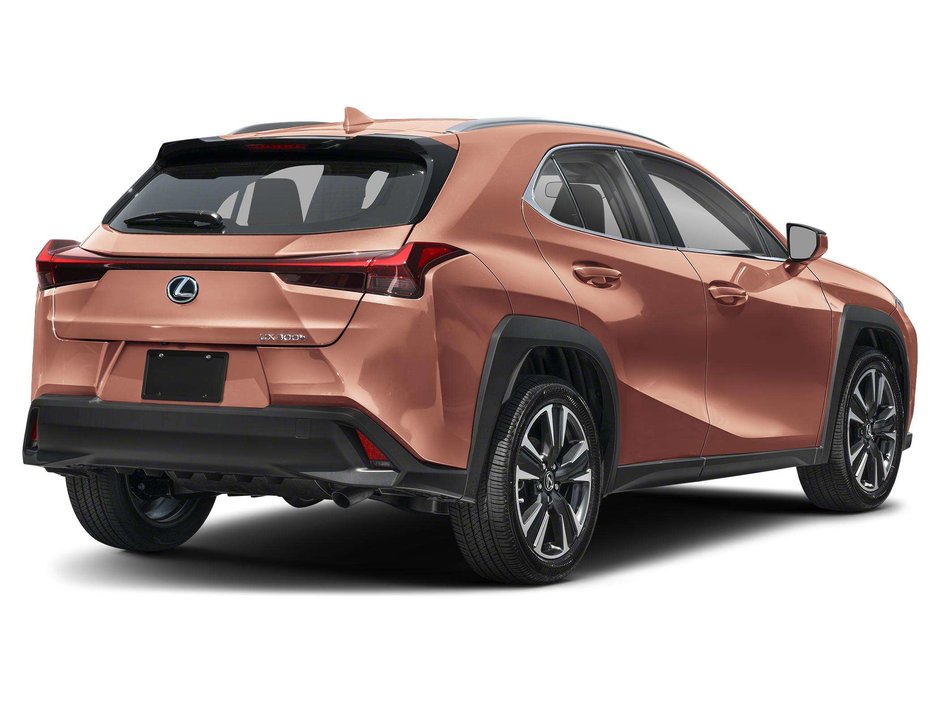 2025 Lexus UX 300h-1