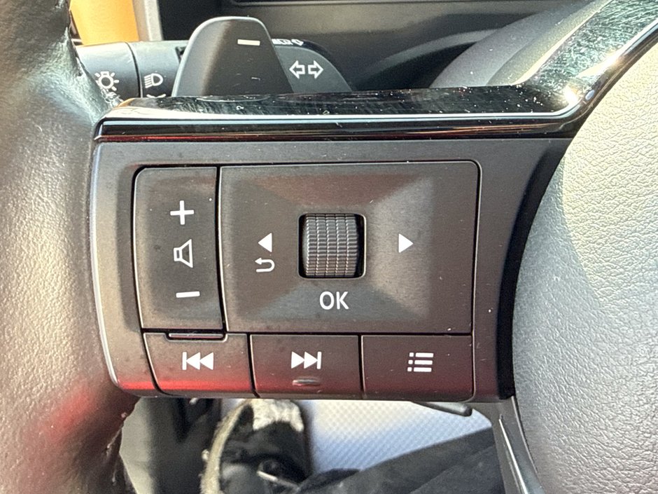 2021 Nissan Rogue Platinum-25