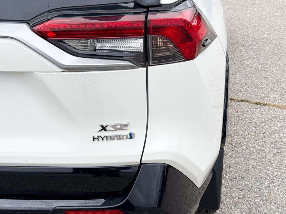 2019 Toyota RAV4 Hybrid XLE-14