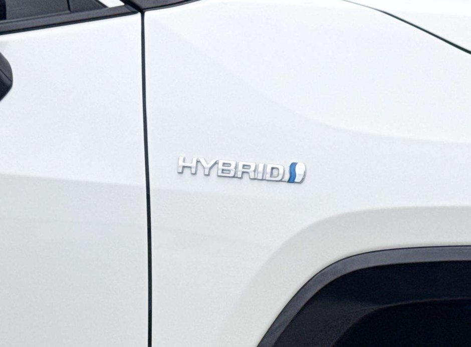 2019 Toyota RAV4 Hybrid XLE-10