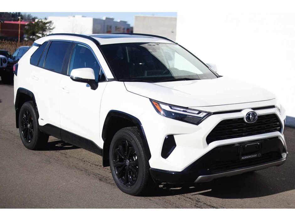 2022 Toyota RAV4 Hybrid SE-10