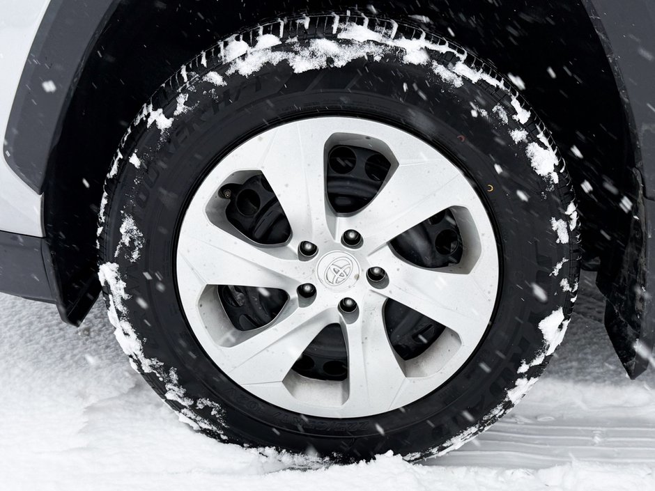 2023 Toyota RAV4 LE-10