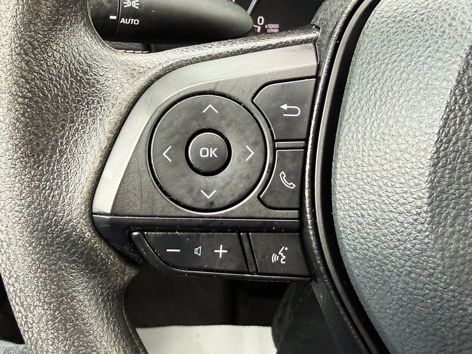 2025 Toyota RAV4 LE-22