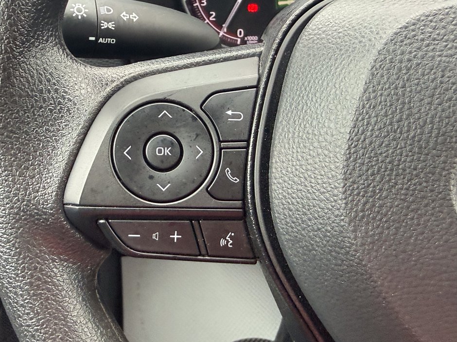 2025 Toyota RAV4 LE-24