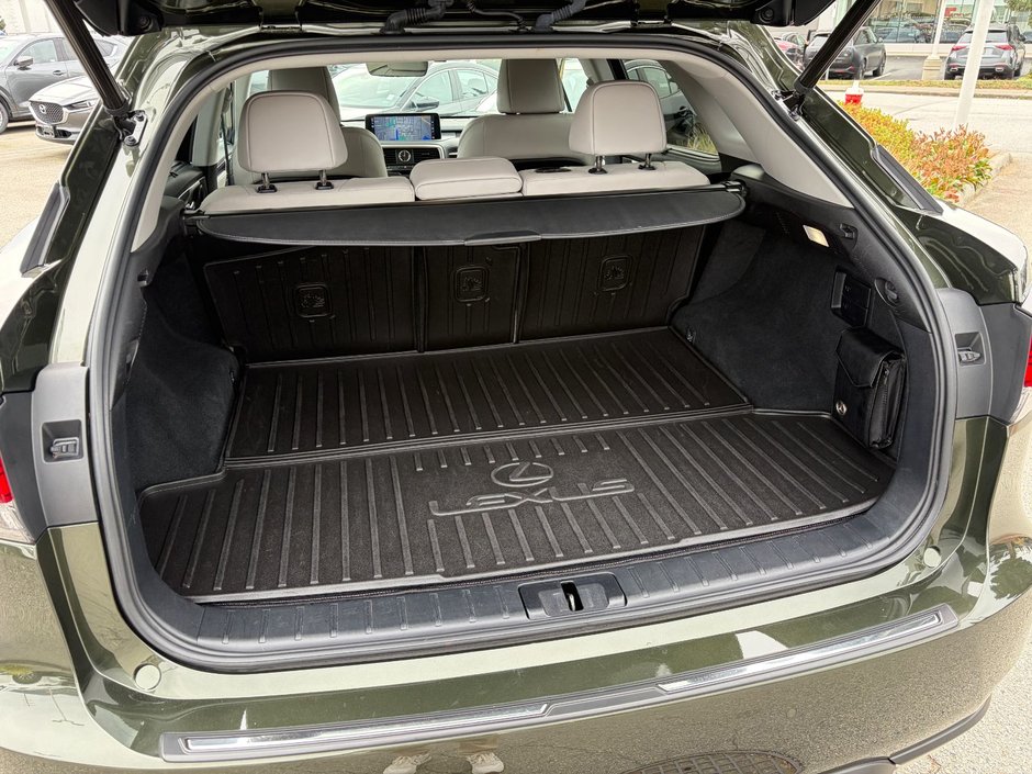 2022 Lexus RX 350 AWD-10