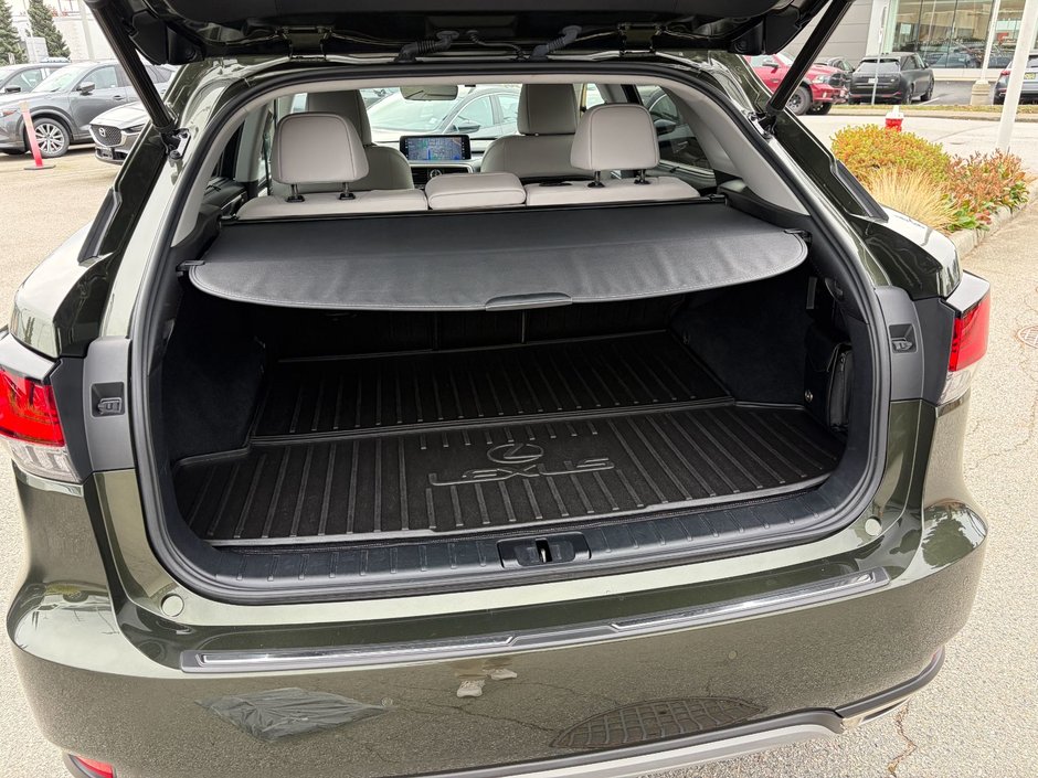 2022 Lexus RX 350 AWD-12
