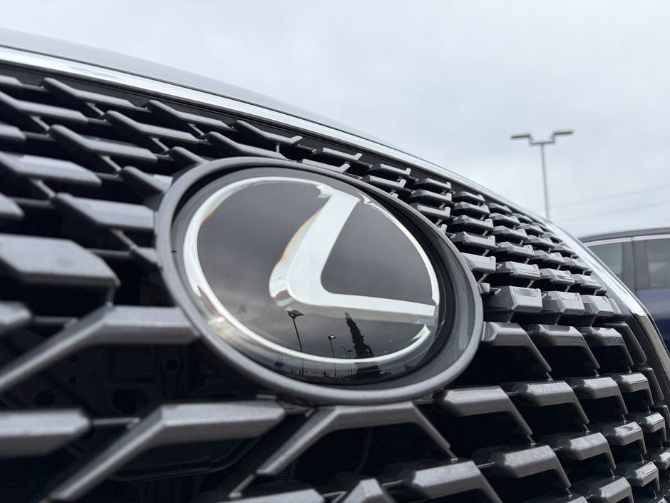 2022 Lexus RX 350 AWD-4