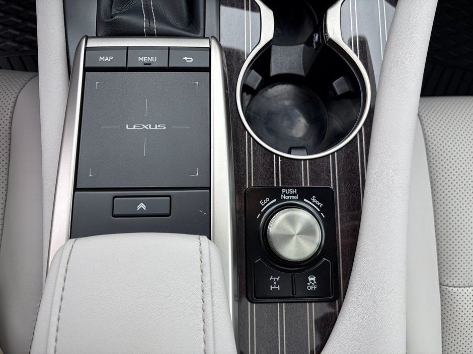 2022 Lexus RX 350 AWD-36