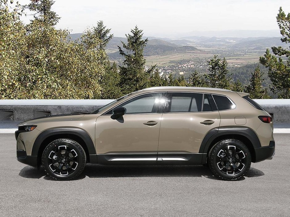 2025 Mazda CX-50 MERIDIAN-2