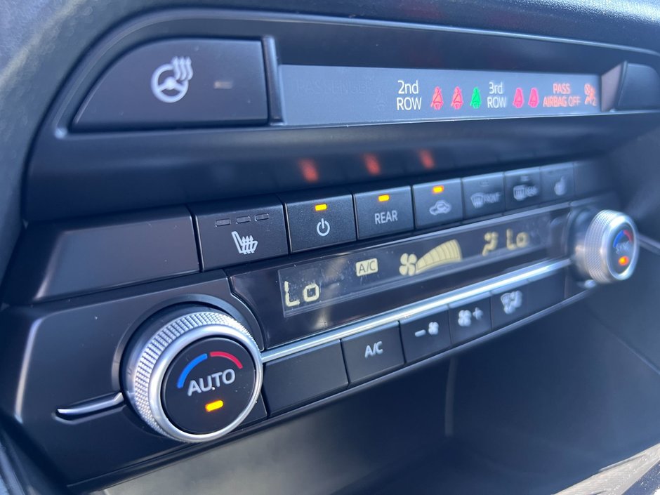 2021 Mazda CX-9 GS-L AWD (2)-18