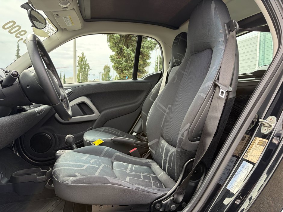 2010 smart fortwo Passion-13