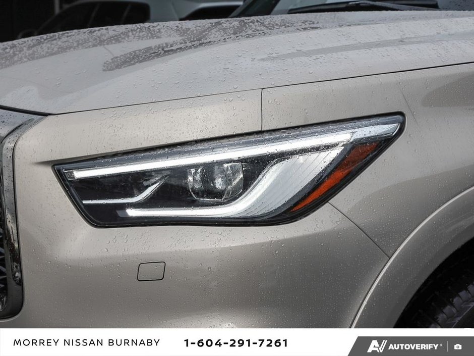 2023 Infiniti QX80 PROACTIVE TRIM // NO ACCIDENTS-10
