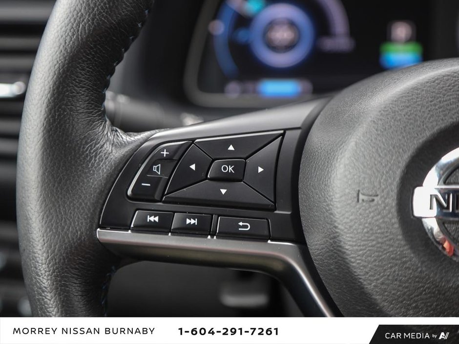 2019 Nissan Leaf SV TRIM-17
