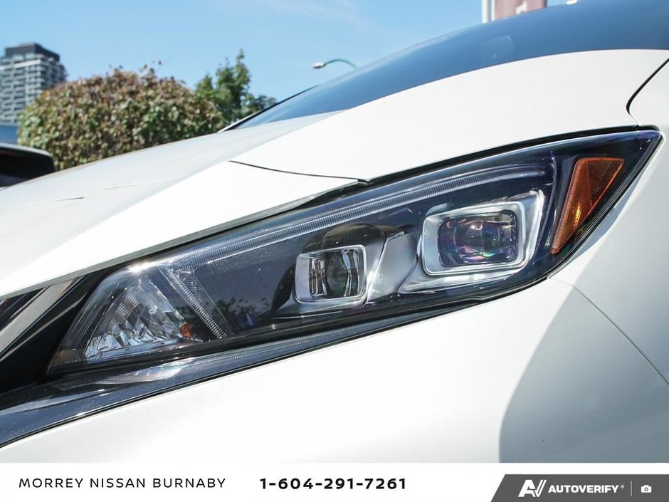 2019 Nissan LEAF SV-10