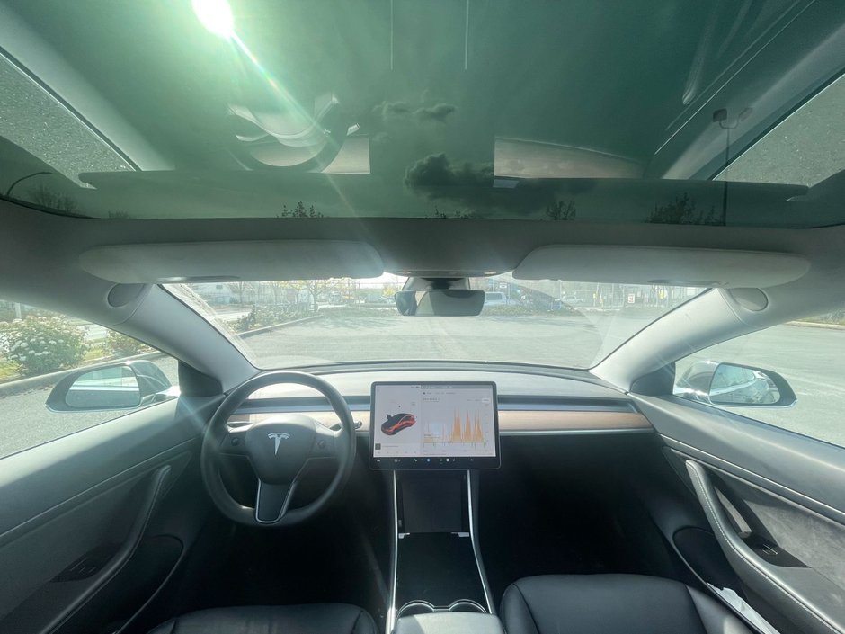 2020 Tesla Model 3 Standard Range Plus-2