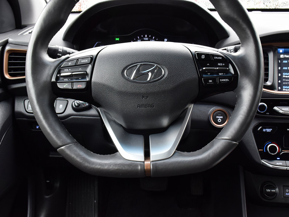 2019 Hyundai Ioniq Electric PREFERRED-11