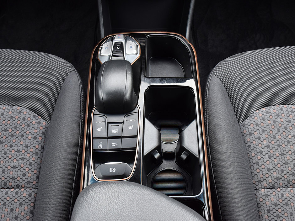 2019 Hyundai Ioniq Electric PREFERRED-20
