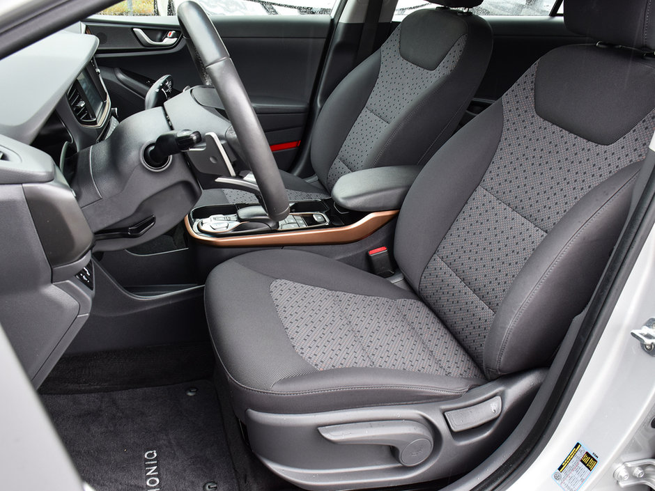 2019 Hyundai Ioniq Electric PREFERRED-8