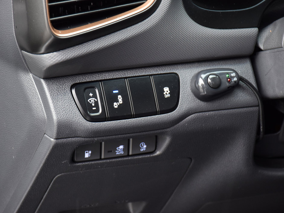 2019 Hyundai Ioniq Electric PREFERRED-16