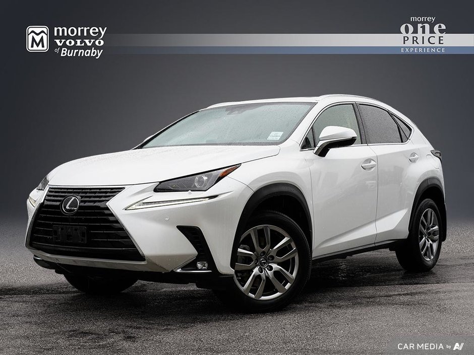 2020 Lexus NX 300-0