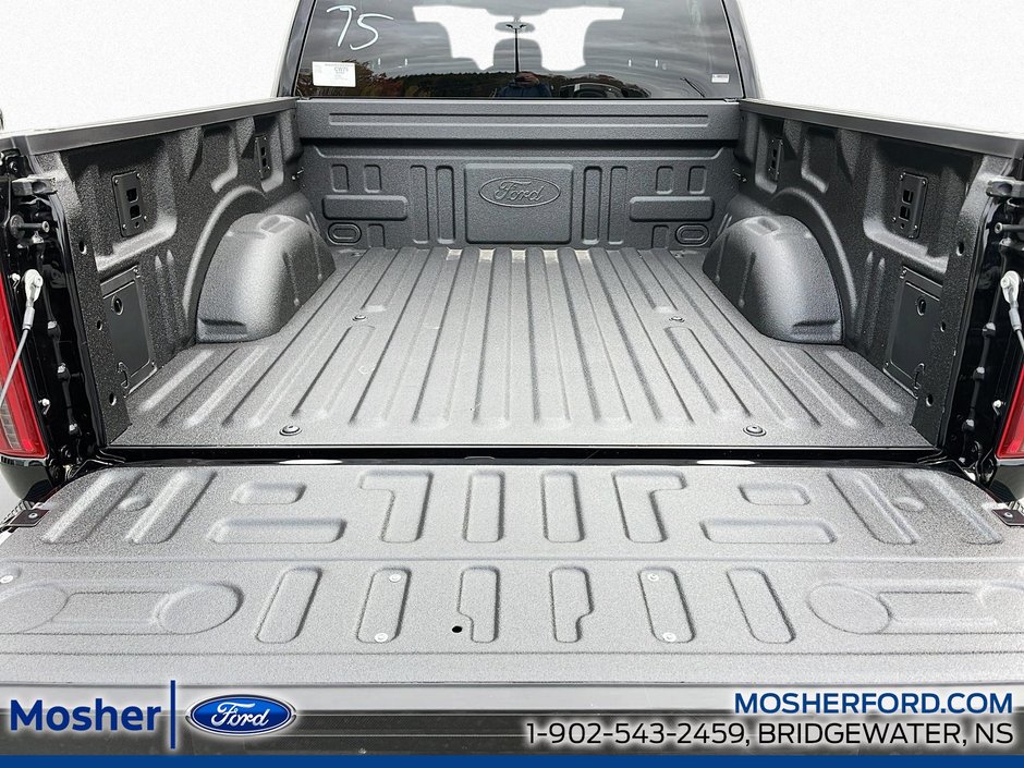 2025 Ford F-150 F-150 STX