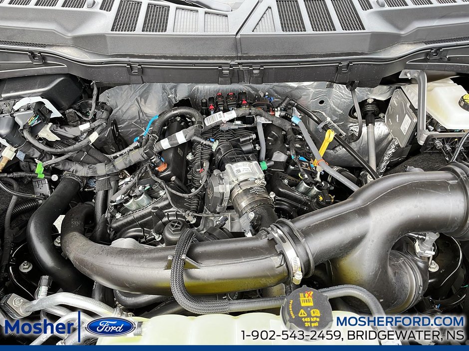 2025 Ford F-150 F-150 STX