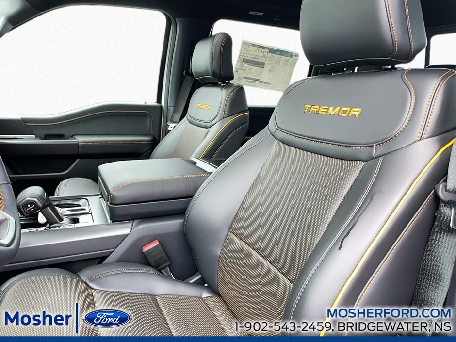 2026 Ford F-150 Tremor
