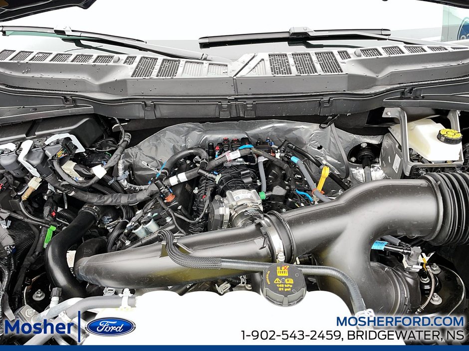 2026 Ford F-150 XL 141