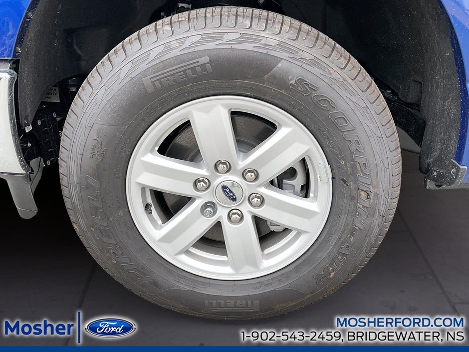 2026 Ford F-150 XL 141