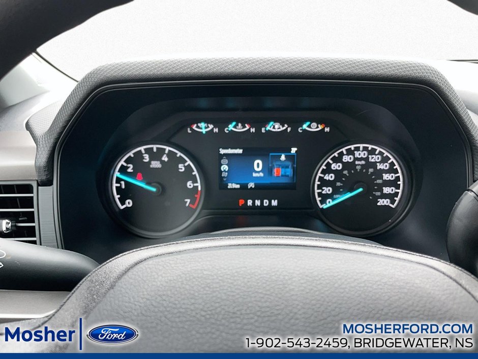 2026 Ford F-150 XL 141