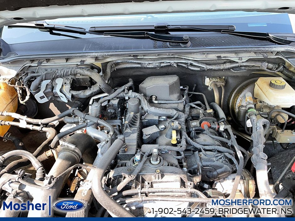 2024 Ford Ranger XL