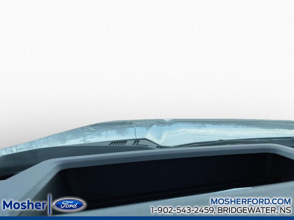 2026 Ford SuperDuty F-250 Platinum