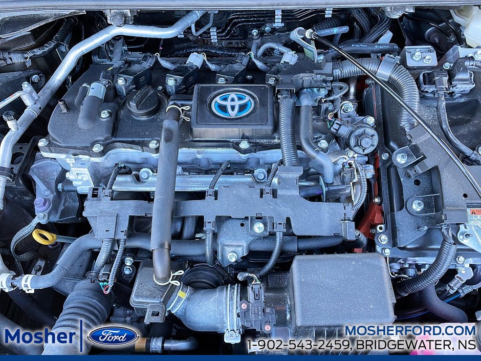 2024 Toyota Corolla Hybrid XSE