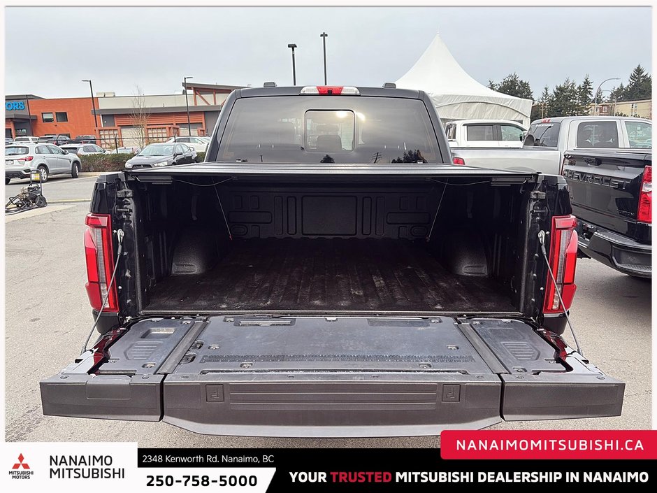 2025 Ford F-150 Platinum-7