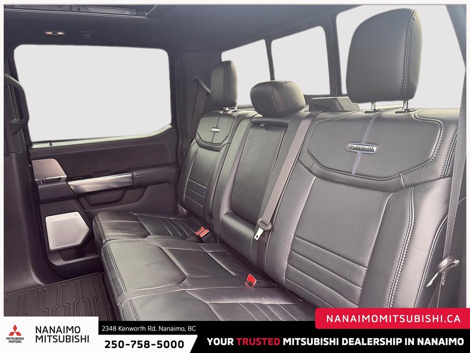 2025 Ford F-150 Platinum-13