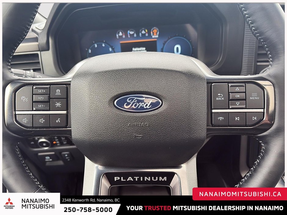 2025 Ford F-150 Platinum-17