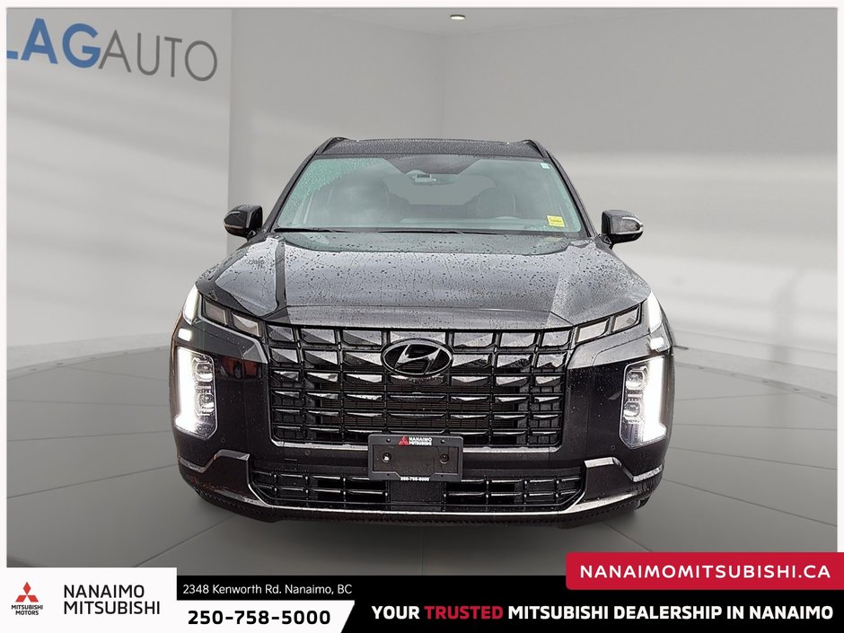 2025 Hyundai Palisade Ultimate-2