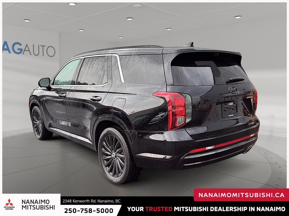 2025 Hyundai Palisade Ultimate-4