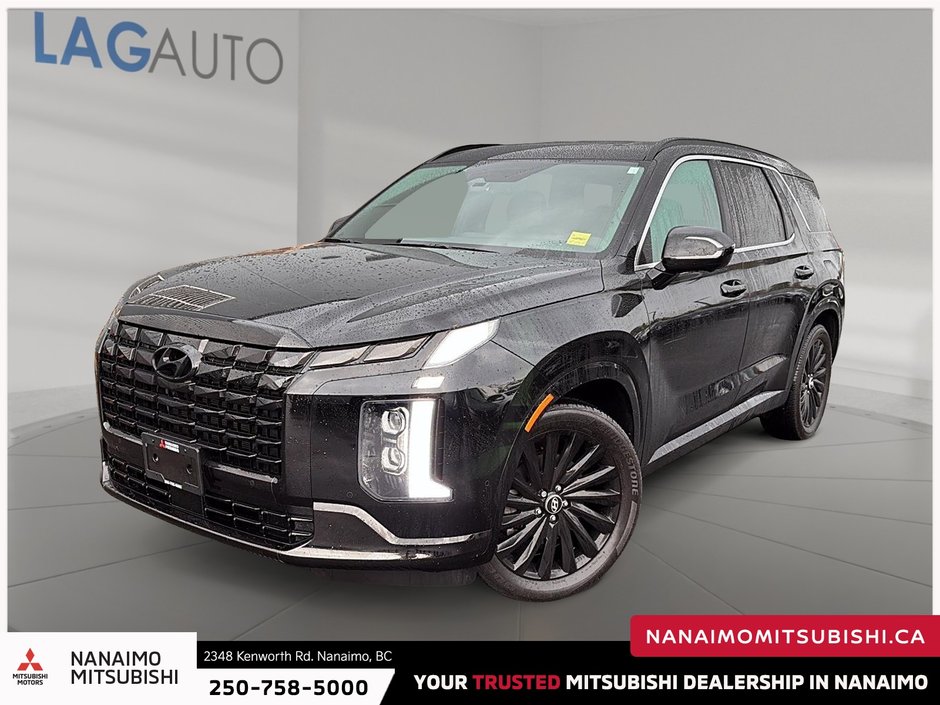 2025 Hyundai Palisade Ultimate-0