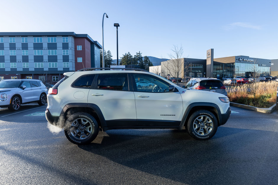 2019 Jeep Cherokee Trailhawk Elite-6