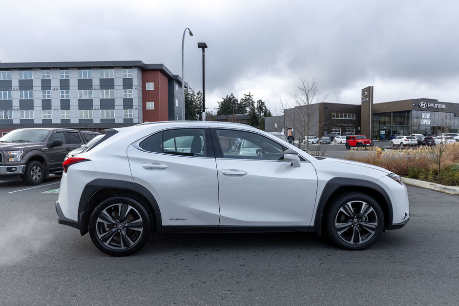 2019 Lexus UX 250h-6