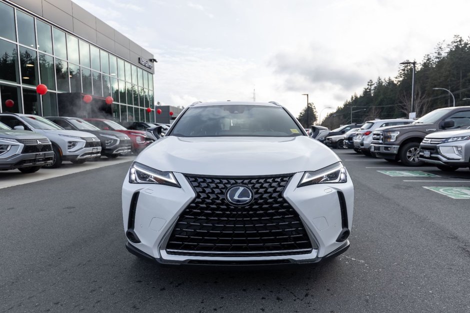 2019 Lexus UX 250h-8