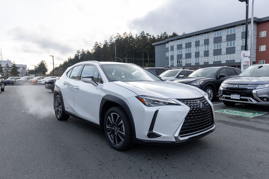 2019 Lexus UX 250h-7