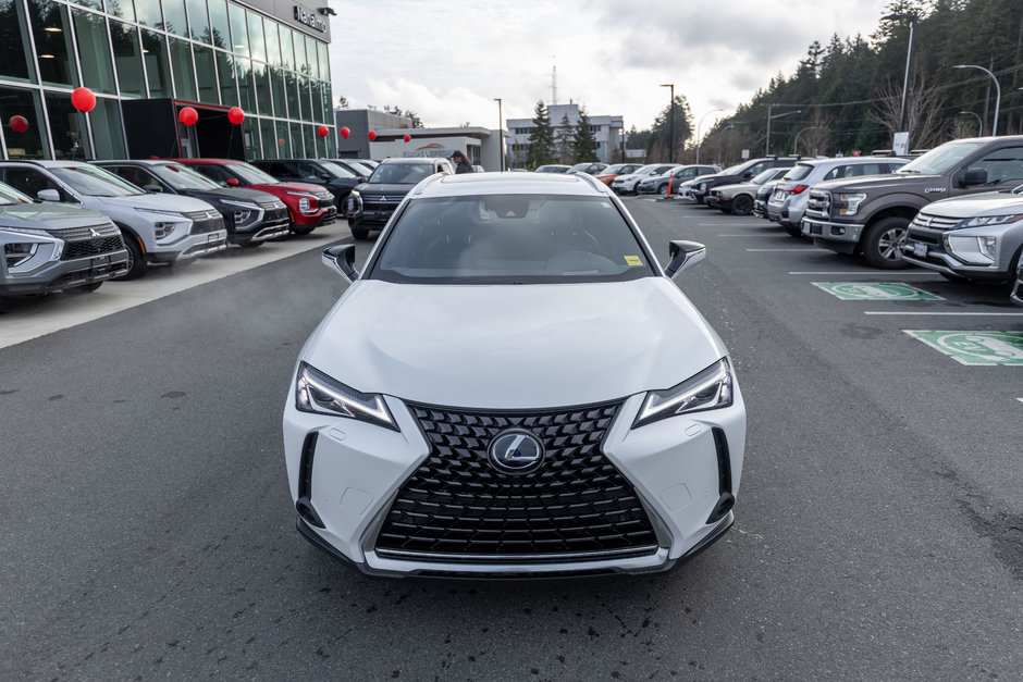 2019 Lexus UX 250h-9